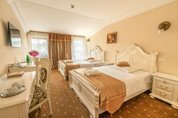 Aphrodite Palace Rajecké Teplice 4